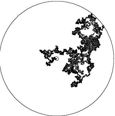 Brownian frontier (R. Durrett)
